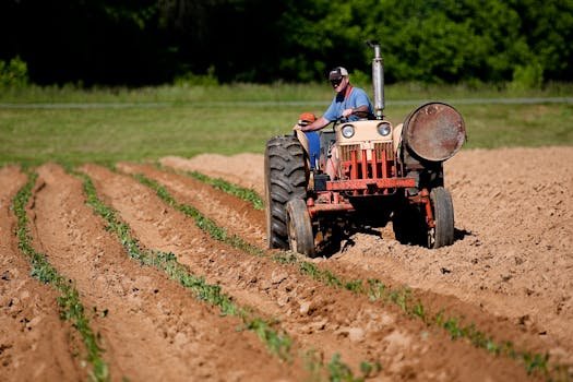 Trabalhador rural, tá pegando no pesado sem registro? 1 A farmer driving a tractor plowing rows in a rural North Carolina field on a sunny day.