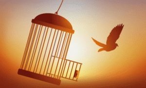 Captura de tela 2025 09 01 105212